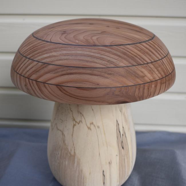 Champignon N&deg;14 H&ecirc;tre &eacute;chauff&eacute;, S&eacute;quoia, Weng&eacute;