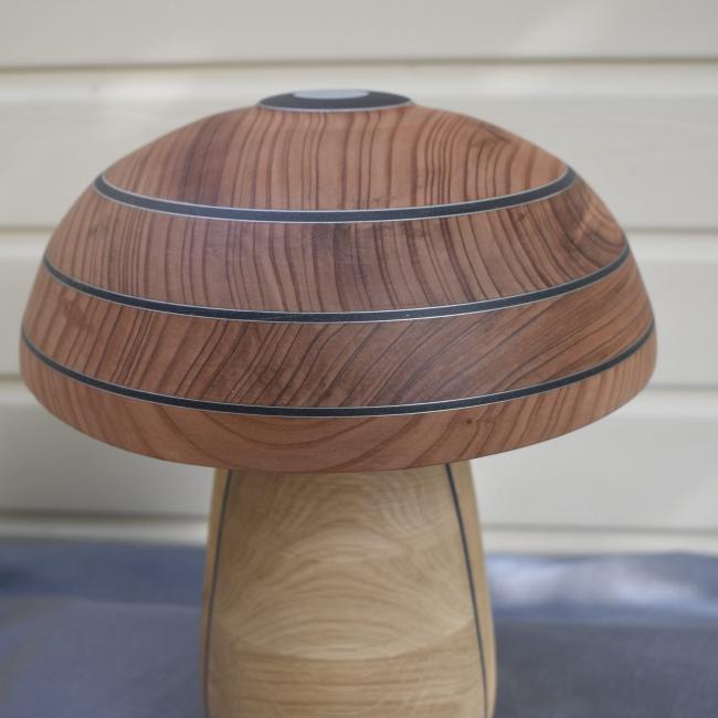 Champignon N&deg;12 Ch&ecirc;ne, S&eacute;quoia, Insert alucobond