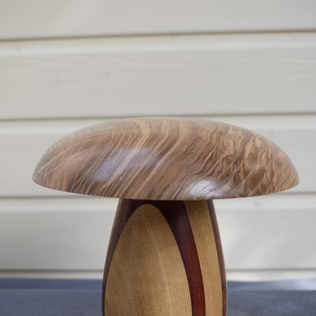 Champignon N&deg;13 Acacia, Padouk, Fr&ecirc;ne olivier