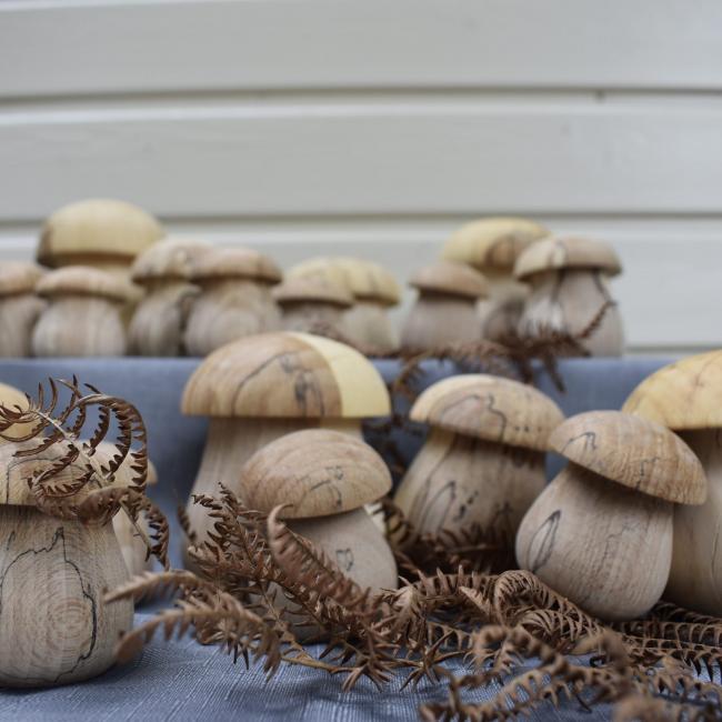 Petits c&egrave;pes en h&ecirc;tre &eacute;chauff&eacute;