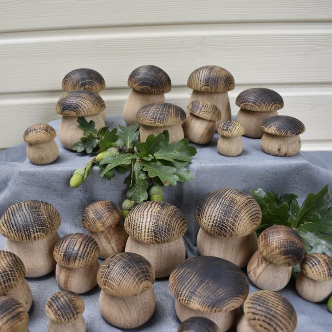 Petits c&egrave;pes en ch&ecirc;ne