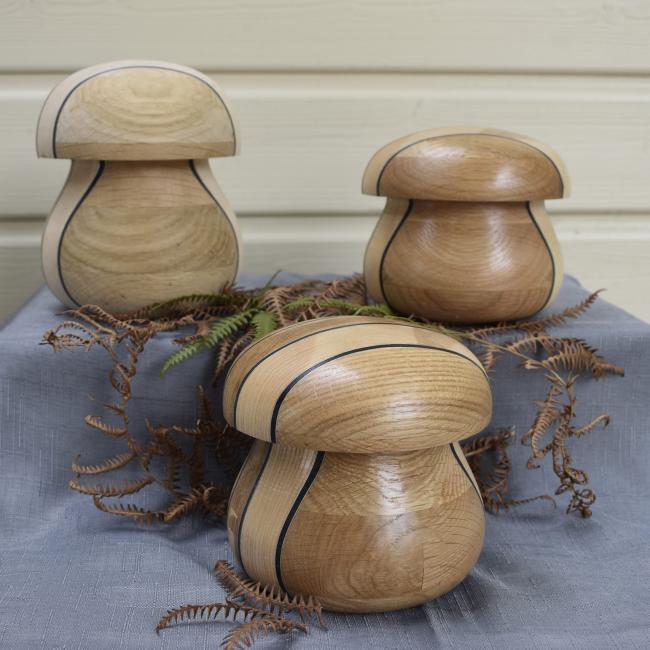 Champignons en ch&ecirc;ne, fr&ecirc;ne, alucobond
