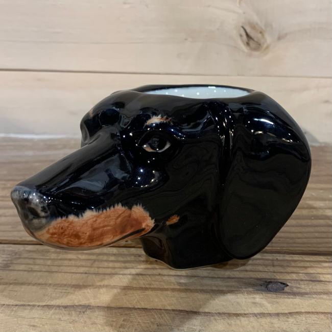 Dachshund Face Egg Cup