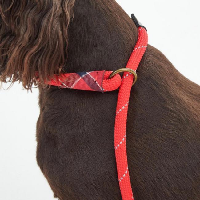 Dog Slip Lead