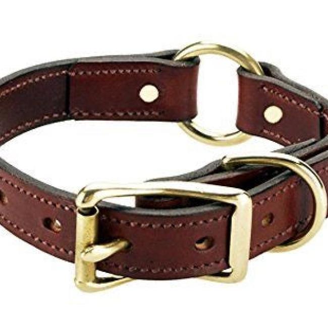 Collier pour chien - cuir large