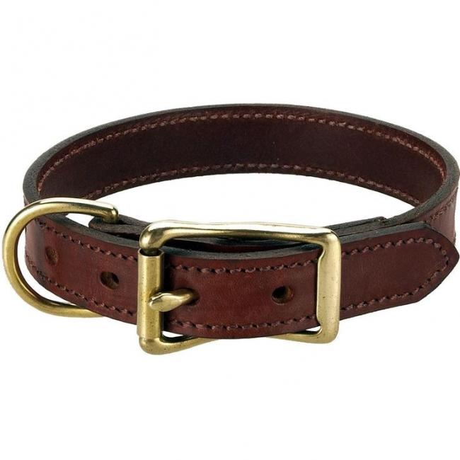 Collier pour chien - classic