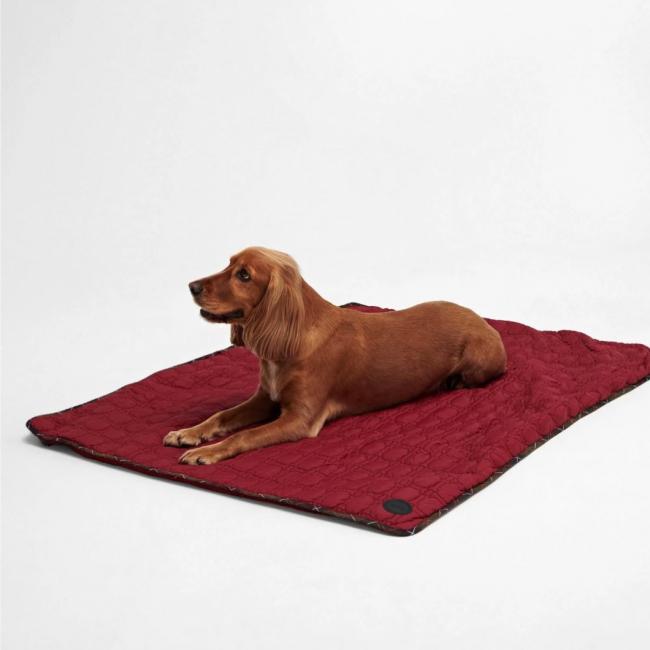 Dog Bone Quilted Blanket