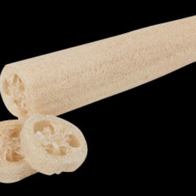Luffa à trancher