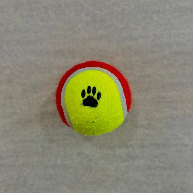 Balle de tennis pour chien