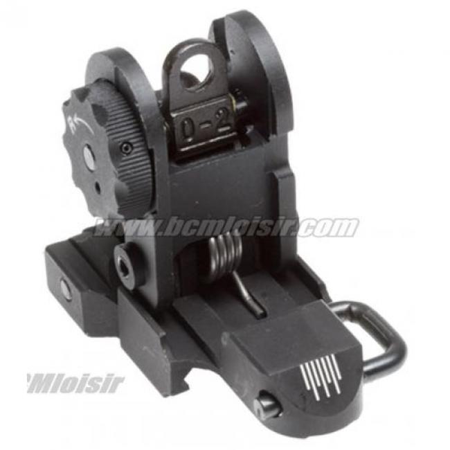 Flip up rear sight1