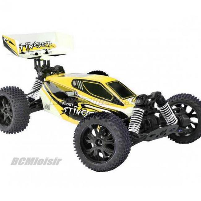 Pirate Stinger Brushed 4X4 1/10 RTR