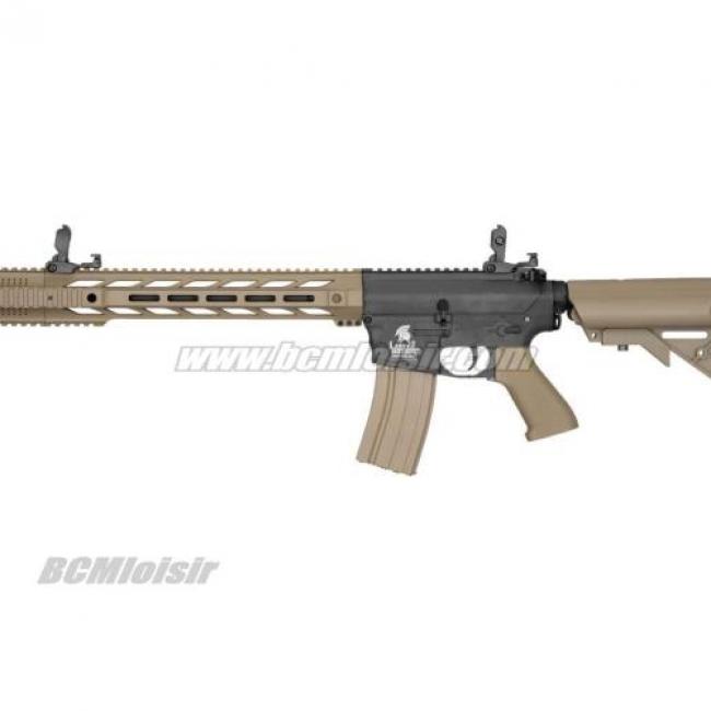 M4 SPR Interceptor Dual Ton LT25 Gen 2 RIS AEG Pack Complet