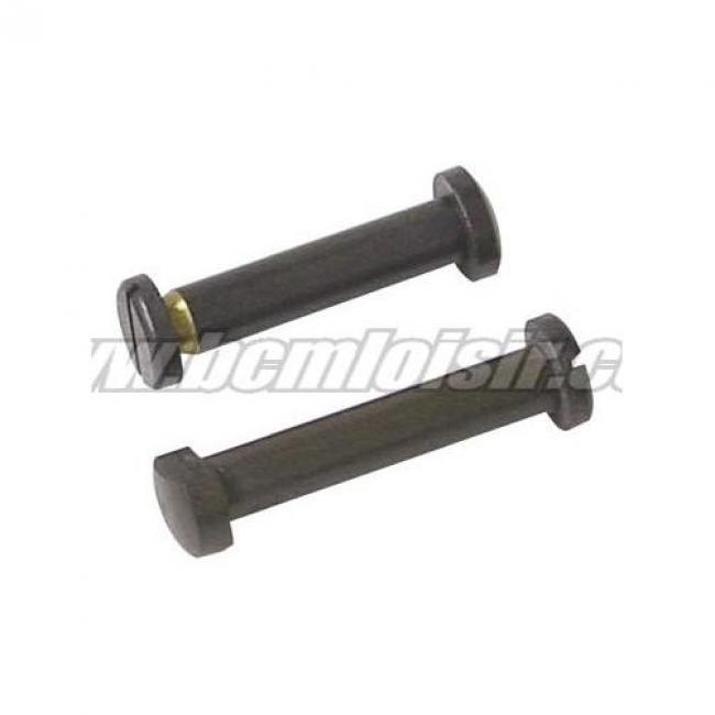 Goupilles pour m15 armalite (x2)