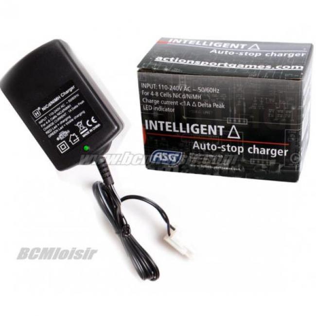 Chargeur Auto Stop 4 - 8 elements 1000 Mah Delta Peak