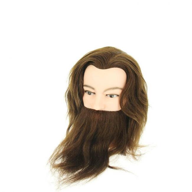 T&ecirc;te d'&eacute;tude Louis
