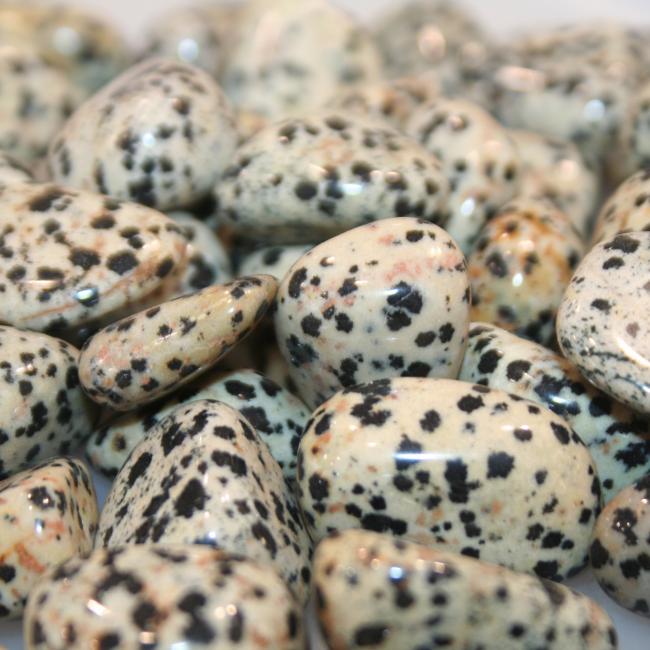 Jaspe Dalmatien