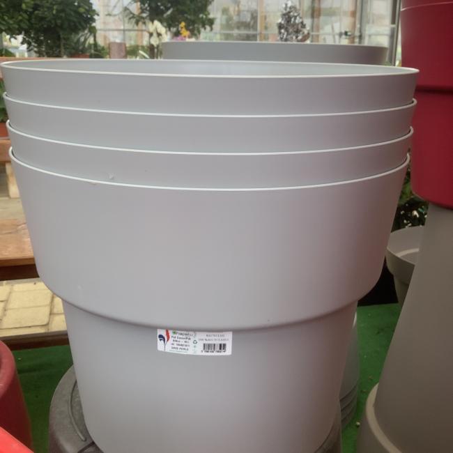 POT  COCORIPOT