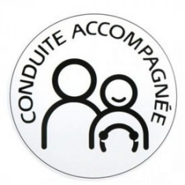 CONDUITE ACCOMPAGNEE ELECTROSTATIQUE