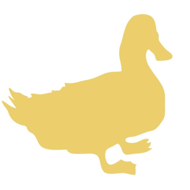 Graisse de canard - 500 g