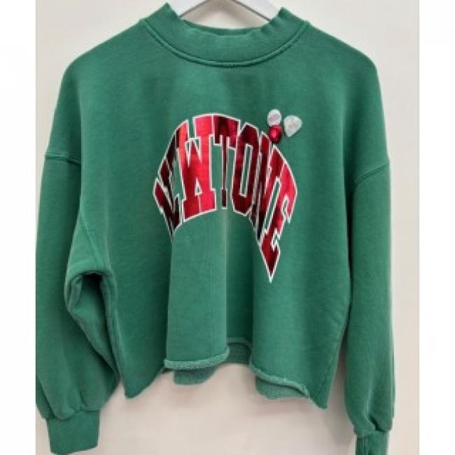 Sweatshirt Green Newtone