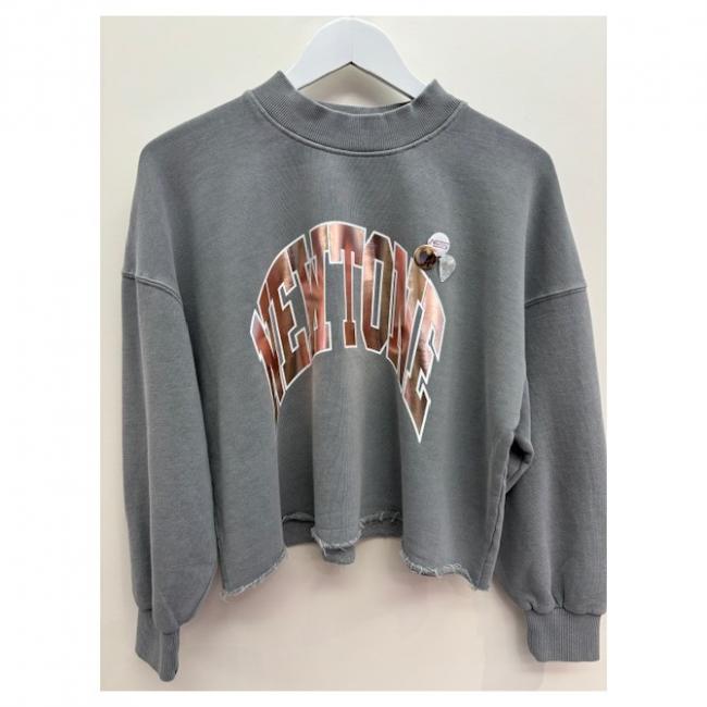Sweatshirt Grey Newtone
