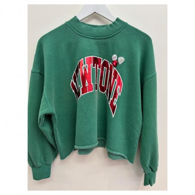 Sweatshirt Green Newtone