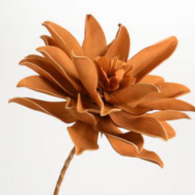 FLEUR PANA NOISETTE