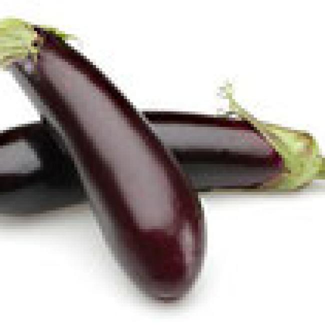 AUBERGINE "BALUROI" F1 - POT DE DIA. 10 CM