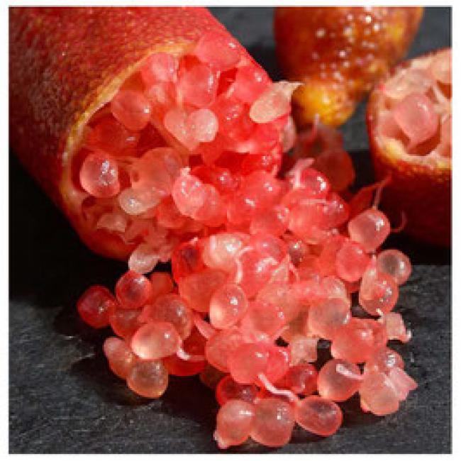 CITRON CAVIAR ROUGE - LIMONE CAVIALE - CITRUS MICROCITRUS "AUSTRALASICA" ¤