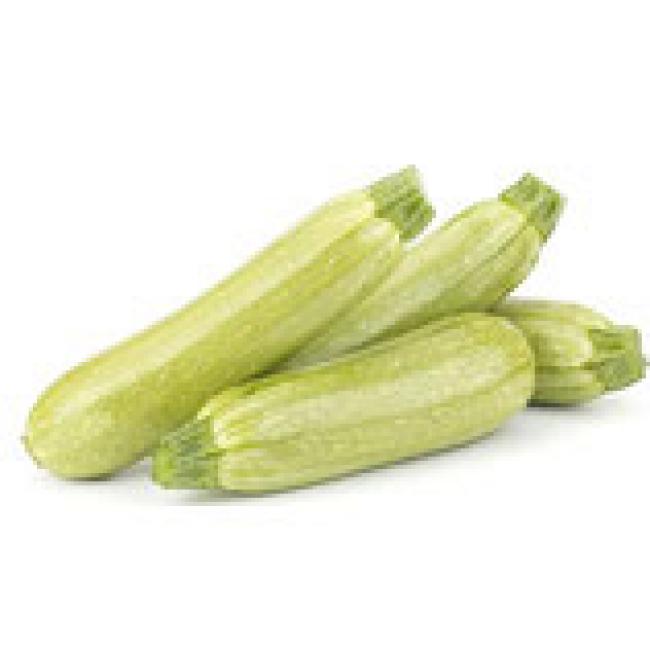 COURGETTE BLANCHE "AMALTHÉE" F1 - BARQUETTE DE 6 PLANTS