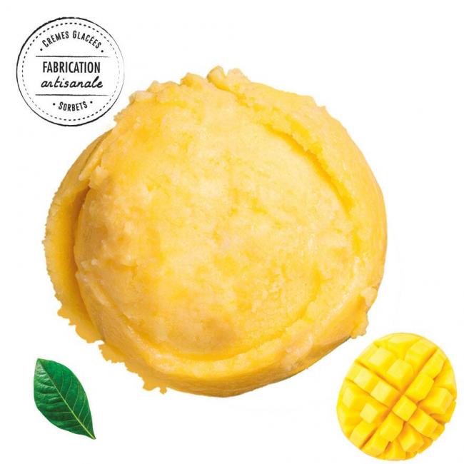 Sorbet Mangue Bio