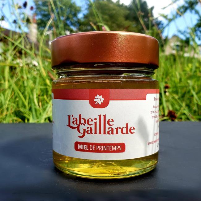 Miel de Printemps &#8211; 250g