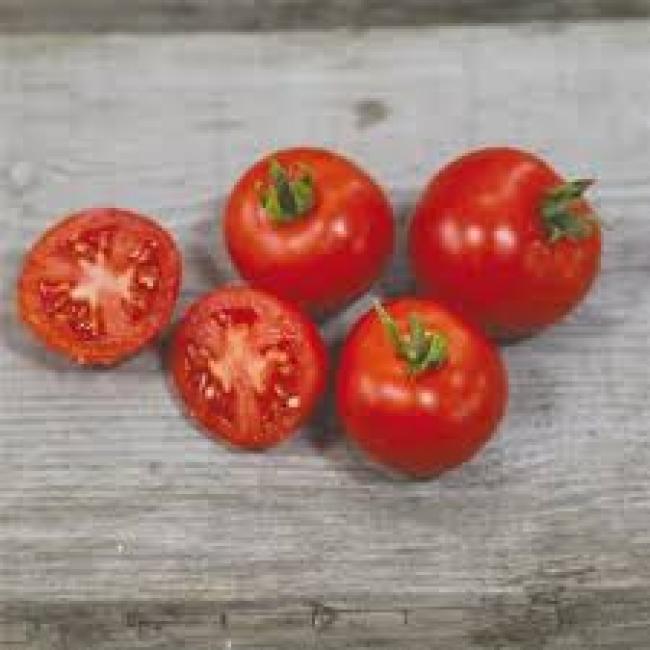 Tomate cocktail Maya