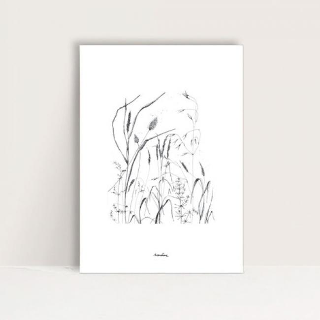 Mini - affiche " Vagabondes 7 "