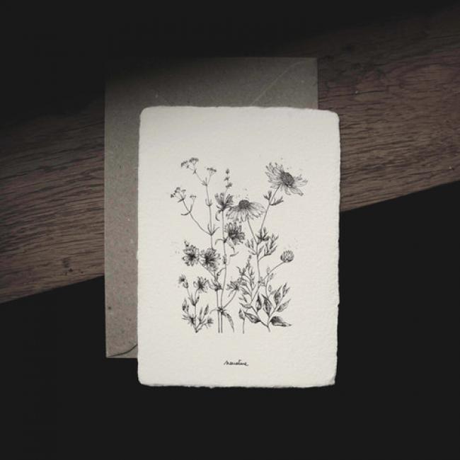 Carte Herbier /  Vagabondes - 8