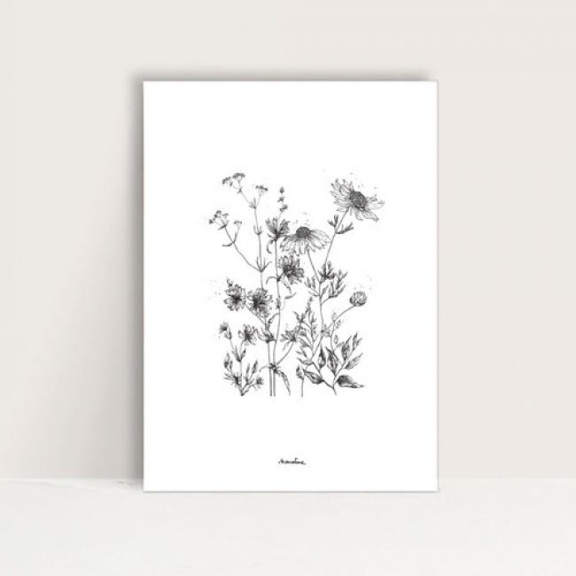 Mini-Affiche " Vagabondes 8 "