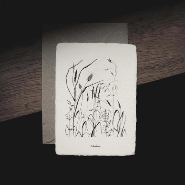 Carte Herbier /  Vagabondes - 7
