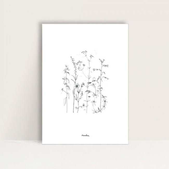 Mini-Affiche " Vagabondes 1 "