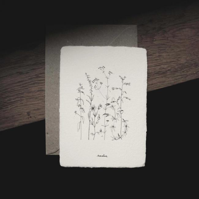 Carte Herbier /  Vagabondes - 1