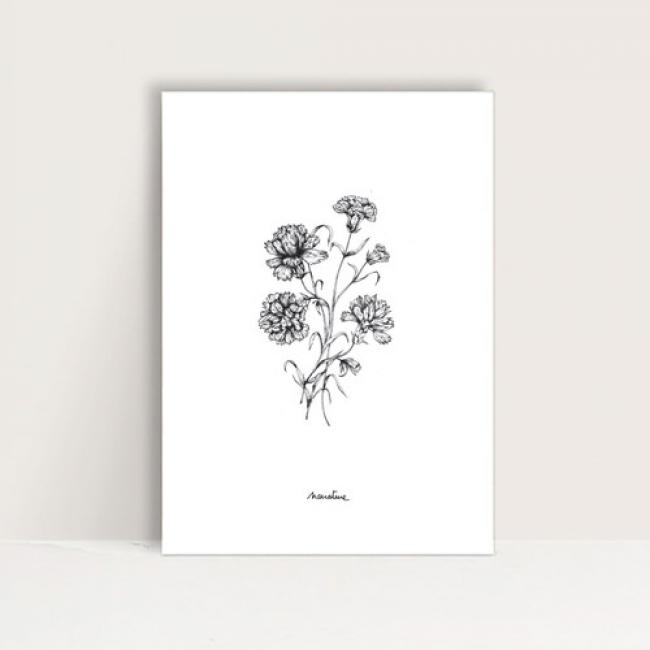 Mini-Affiche " Oeillets "