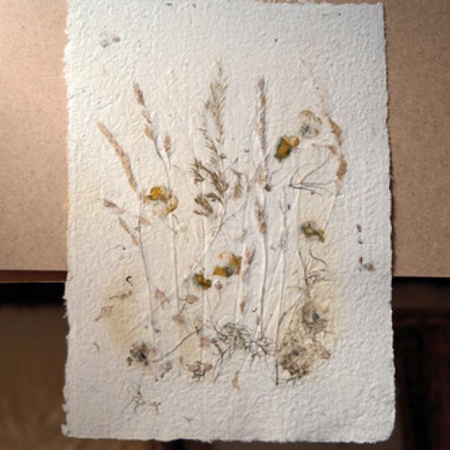 Herbier #2