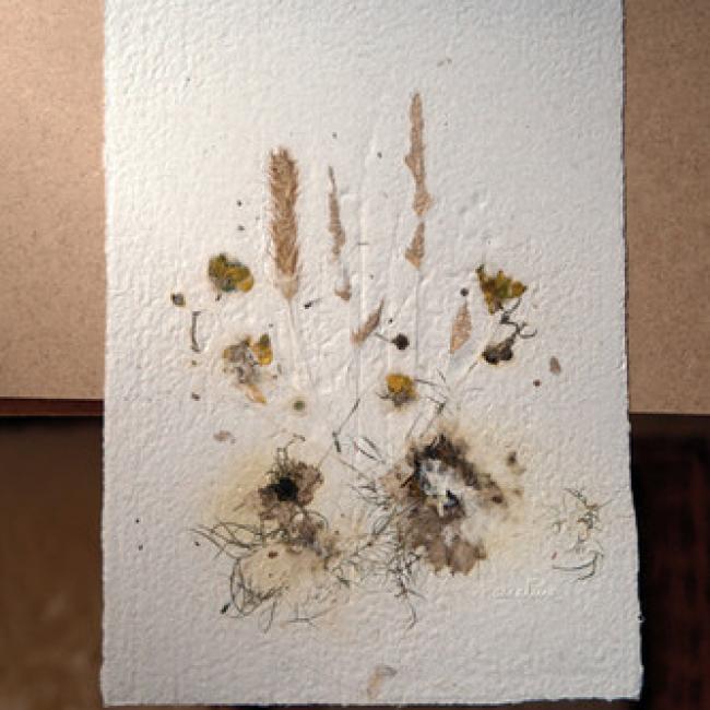 Herbier #6