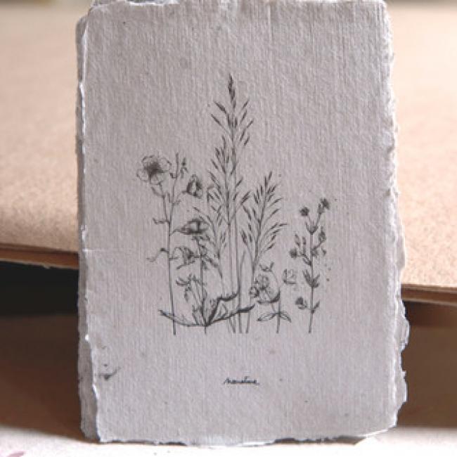 Carte artisanale Herbier /  Vagabondes - 5
