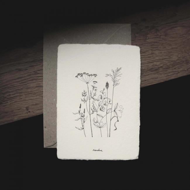 Carte Herbier /  Vagabondes - 3