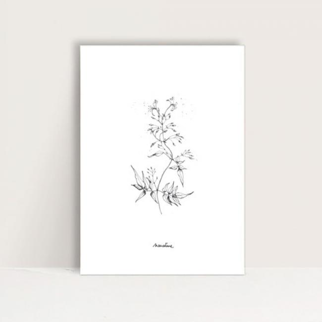 Mini-Affiche " Chèvrefeuille "
