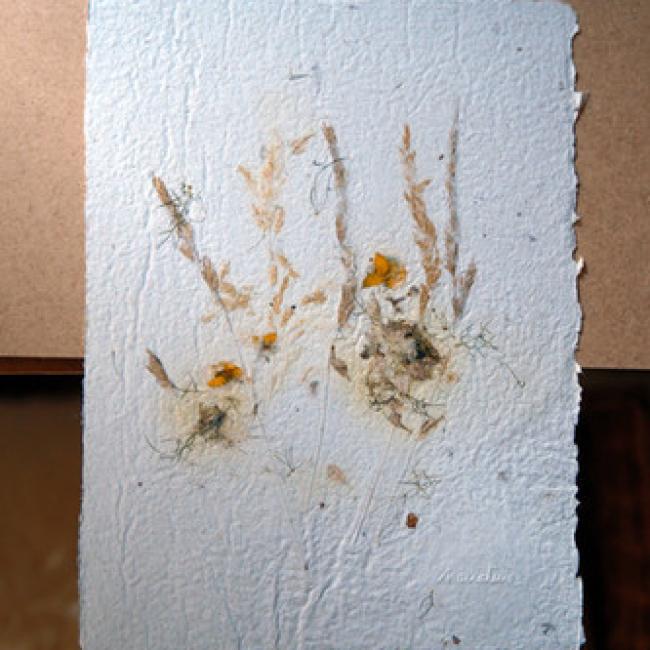 Herbier #9