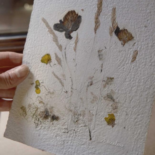 Herbier #4