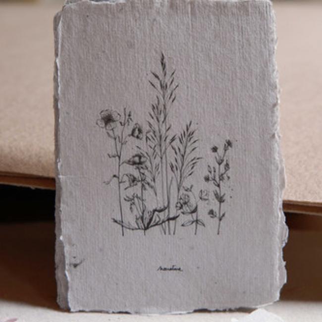 Lot de 8 cartes artisanales - Herbiers gramin&eacute;es
