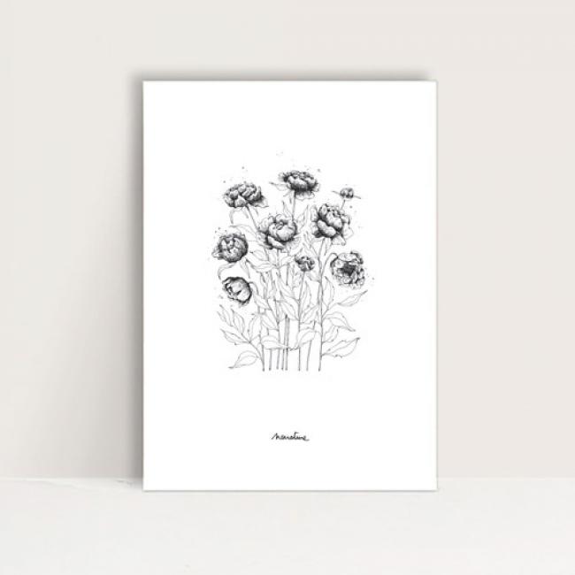 Mini-Affiche " Pivoines "