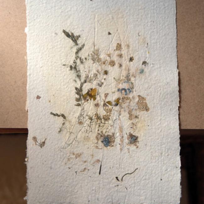 Herbier #3